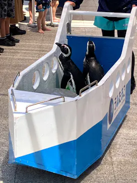 大分マリーンパレス水族館 「うみたまご」に投稿された画像（2026/7/27）