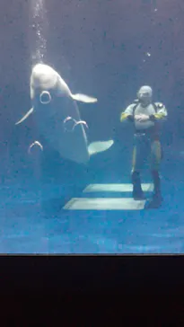 島根県立 しまね海洋館に投稿された画像（2026/7/27）