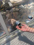 大分マリーンパレス水族館 「うみたまご」に投稿された画像（2026/7/27）