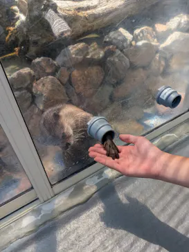 大分マリーンパレス水族館 「うみたまご」に投稿された画像（2026/7/27）