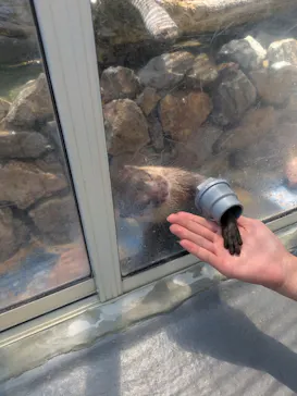 大分マリーンパレス水族館 「うみたまご」に投稿された画像（2026/7/27）