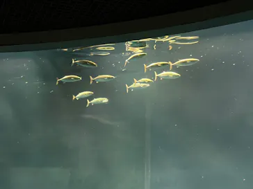葛西臨海水族園に投稿された画像（2026/7/27）