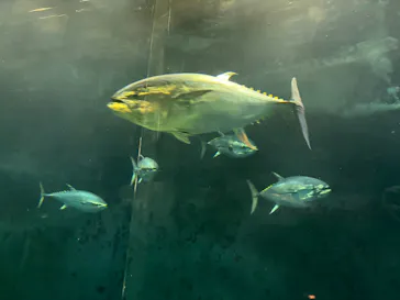 葛西臨海水族園に投稿された画像（2026/7/27）