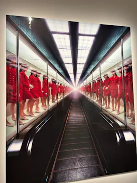 まなざしの奇跡　日本女性写真家の冒険に投稿された画像（2026/7/27）