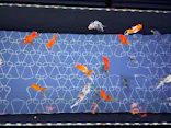 すみだ水族館に投稿された画像（2026/7/27）