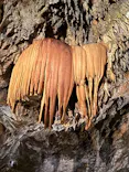 CAVE OKINAWAに投稿された画像（2026/7/27）