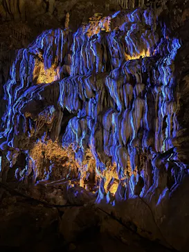 CAVE OKINAWAに投稿された画像（2026/7/27）