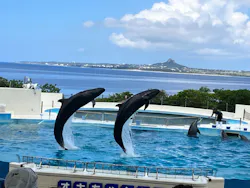 沖縄美ら海水族館に投稿された画像（2026/7/27）