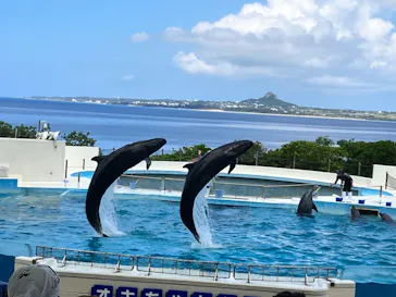 沖縄美ら海水族館に投稿された画像（2026/7/27）