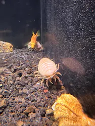 下田海中水族館に投稿された画像（2026/7/27）
