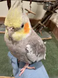 Moff animal cafe イオンモール新利府店に投稿された画像（2026/7/27）