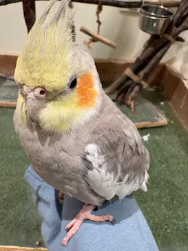 Moff animal cafe イオンモール新利府店に投稿された画像（2026/7/27）