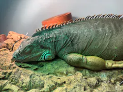 Moff animal cafe イオンモール新利府店に投稿された画像（2026/7/27）