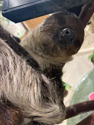 Moff animal cafe イオンモール新利府店に投稿された画像（2026/7/27）