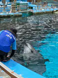 名古屋港水族館に投稿された画像（2026/7/27）