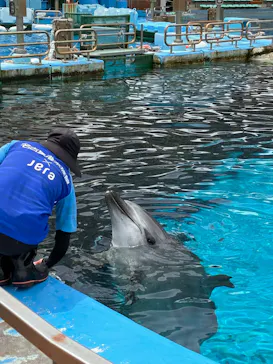名古屋港水族館に投稿された画像（2026/7/27）