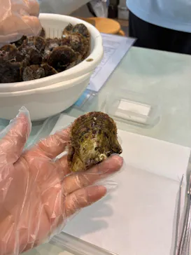 名古屋港水族館に投稿された画像（2026/7/27）