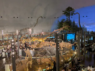 福井県立恐竜博物館に投稿された画像（2026/7/27）