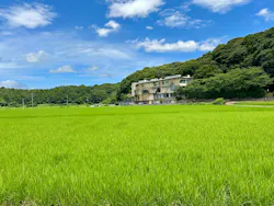 成田の命泉　大和の湯に投稿された画像（2026/7/27）