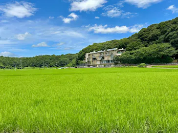 成田の命泉　大和の湯に投稿された画像（2026/7/27）