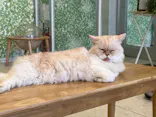 Moff animal world BIGHOPガーデンモール印西店に投稿された画像（2026/7/27）