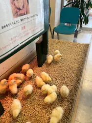 Moff animal world BIGHOPガーデンモール印西店に投稿された画像（2026/7/27）
