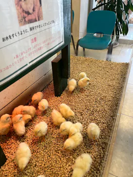Moff animal world BIGHOPガーデンモール印西店に投稿された画像（2026/7/27）