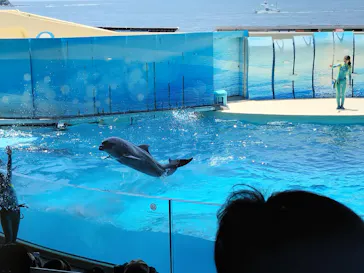 新江ノ島水族館に投稿された画像（2026/7/27）