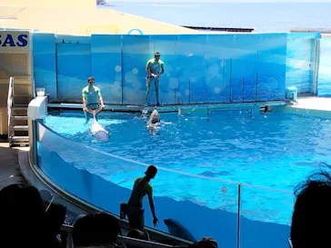 新江ノ島水族館に投稿された画像（2026/7/27）