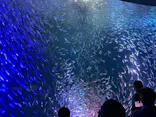 名古屋港水族館に投稿された画像（2026/7/27）
