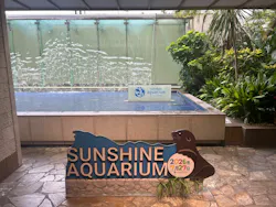 サンシャイン水族館に投稿された画像（2026/7/27）
