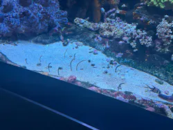 サンシャイン水族館に投稿された画像（2026/7/27）