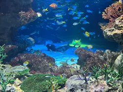サンシャイン水族館に投稿された画像（2026/7/27）