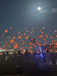 安満遺跡公園サンクスランタン2026に投稿された画像（2026/7/27）