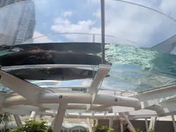 サンシャイン水族館に投稿された画像（2026/7/27）
