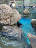 京都水族館×ニデック京都タワーに投稿された画像（2026/7/27）