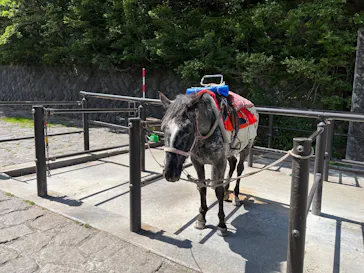富士山吉田ルート（山梨県）に投稿された画像（2026/7/27）