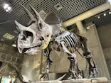 国立科学博物館に投稿された画像（2026/7/27）