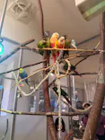 Moff animal cafe イオンモール幕張新都心店に投稿された画像（2026/7/27）