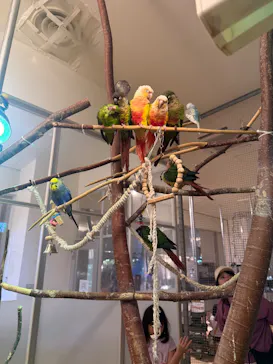 Moff animal cafe イオンモール幕張新都心店に投稿された画像（2026/7/27）