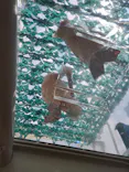 サンシャイン水族館に投稿された画像（2026/7/27）