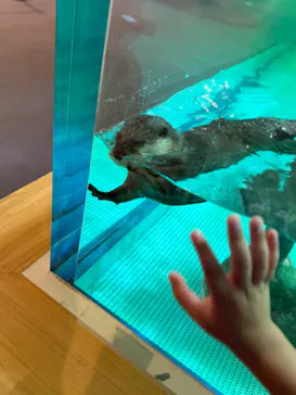 しながわ水族館に投稿された画像（2026/7/27）