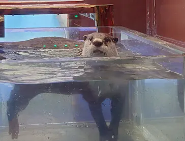 ゼロ距離水族館 伊勢シーパラダイスに投稿された画像（2026/7/27）