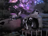 サンシャイン水族館に投稿された画像（2026/7/27）
