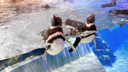 すみだ水族館に投稿された画像（2026/7/27）