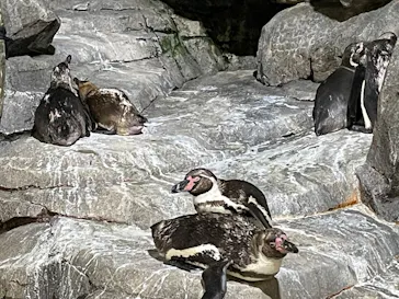 仙台うみの杜水族館に投稿された画像（2026/7/27）