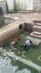 宇都宮動物園に投稿された画像（2026/7/27）