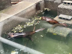 宇都宮動物園に投稿された画像（2026/7/27）