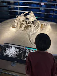 福井県立恐竜博物館に投稿された画像（2026/7/27）