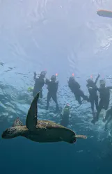 SeaChan石垣島に投稿された画像（2026/7/27）